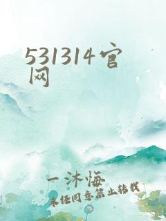 531314官网