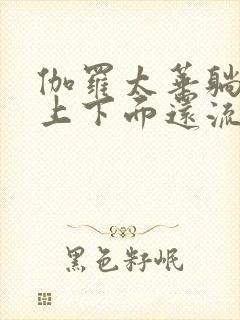 伽罗太华躺在床上下面还流东西