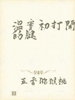 温实初打开眉庄的腿