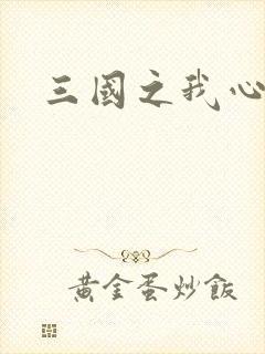 三国之我心狂想