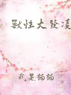 兽性大发凌豹姿