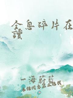 全息碎片在线阅读