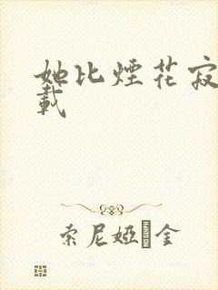 她比烟花寂寞下载