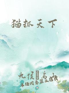 猫抓天下