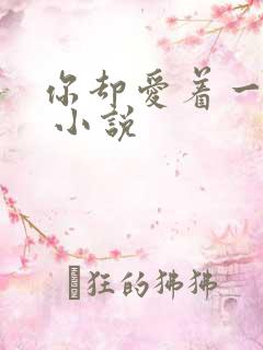 你却爱着一个他 小说