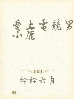 爱上电竞男神林小鹿