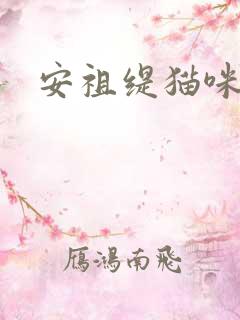 安祖缇猫咪抱抱