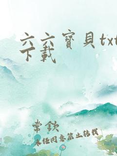 六六宝贝txt下载