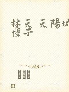 林天 天阳城 傻子