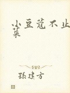 小豆蔻不止是颗菜