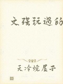 文强玩过的女人