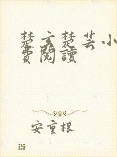 楚玄楚芸小说免费阅读