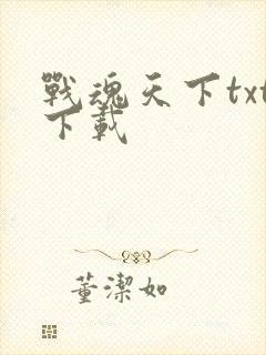 战魂天下txt下载