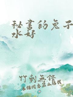 秘书的兔子好软水好