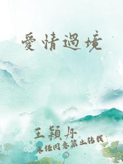 爱情过境