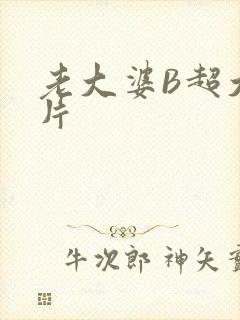 老大婆B超大图片