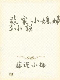 苏家小媳妇1V3小说