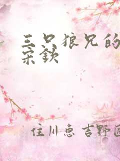 三只狼兄的宠妻宋钦