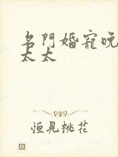 名门婚宠晚安赫太太