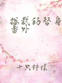 总裁的替身前妻番外