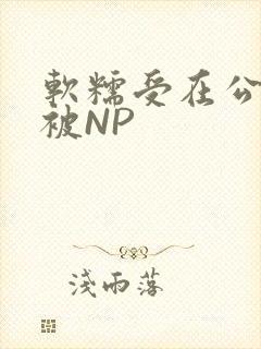 软糯受在公交车被NP