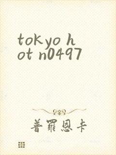 tokyo hot n0497