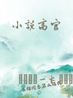 小说高官