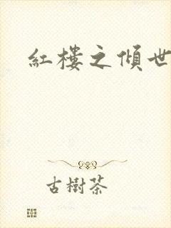 红楼之倾世缘