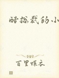 酷总裁的小女佣