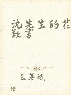 沈先生的花式调数书