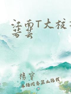 江南T大校花陈若芸