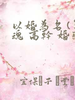 以婚为名 (军魂 高干 婚恋)