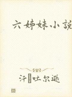 六姊妹小说