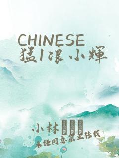 CHINESE猛1浪小辉