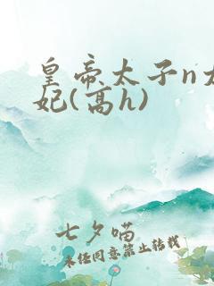 皇帝太子n太子妃(高h)