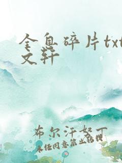 全息碎片txt文轩