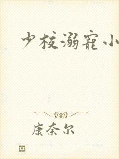 少校溺宠小小妻