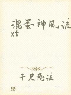 混蛋神风流史txt