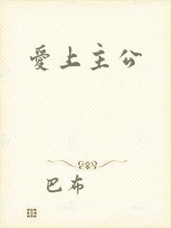 爱上主公