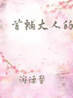 首辅大人的套路