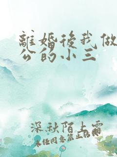 离婚后我做了老公的小三
