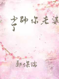 少帅你老婆又跑了