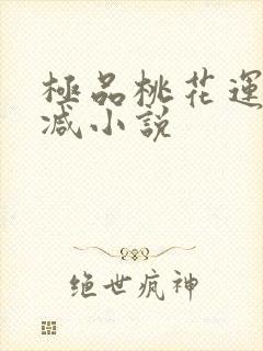 极品桃花运未删减小说