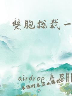 双胞总裁一个妻