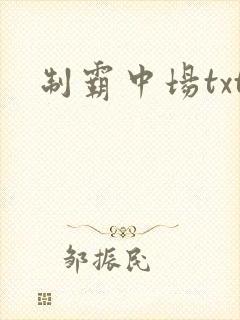 制霸中场txt