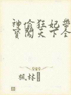 神偷狂妃带着宝宝闯天下全文免费阅读