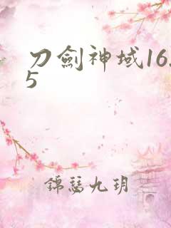 刀剑神域16.5