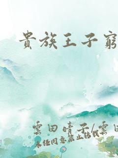 贵族王子穷公主