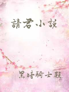 请君小说