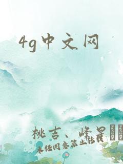 4g中文网